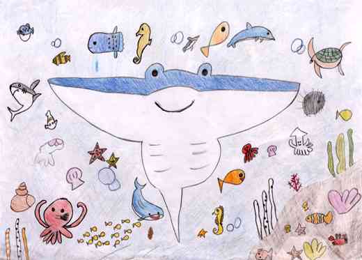 海のなかまも同じ地球の仲間
