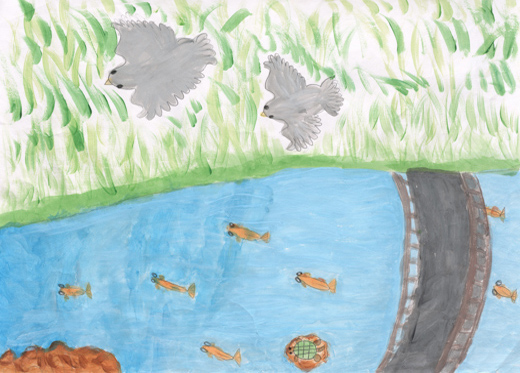 きれいな川と空