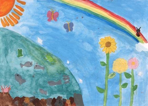 きれいな水ときれいな空気