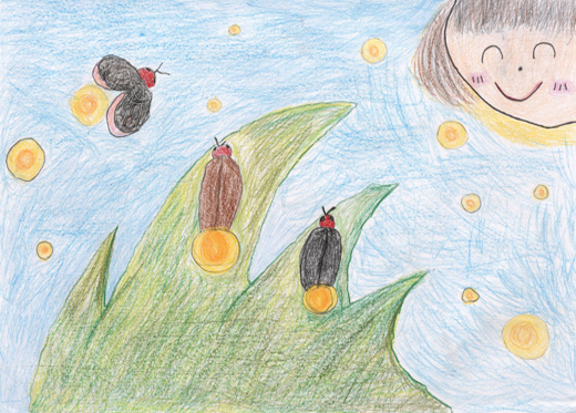 きれいな川をまもりたい。