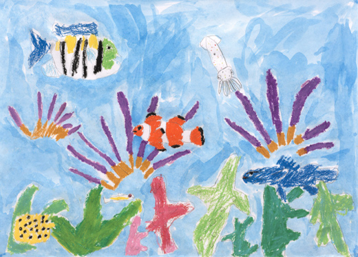 きれいな海にすむサンゴと魚たち