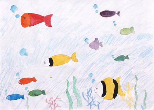 キレイな海と元気な魚達