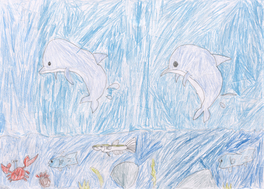 たかくとぶイルカと水中にいる魚たち