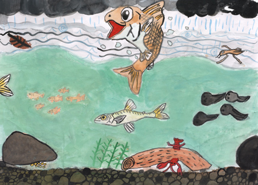 元気にくらす川の生き物