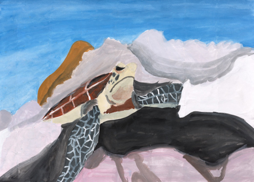 きれいな海を泳ぐウミガメ