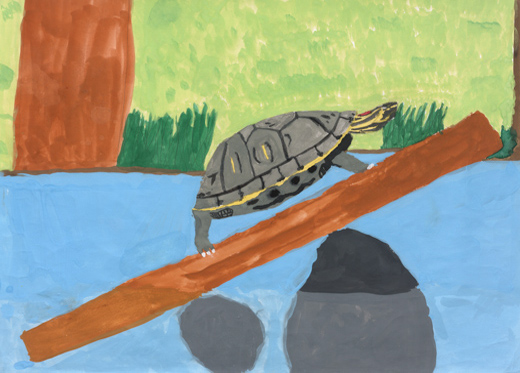 かめさんうれしそう