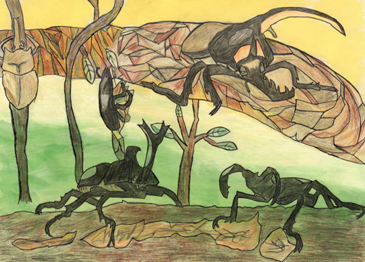 カブトムシの森