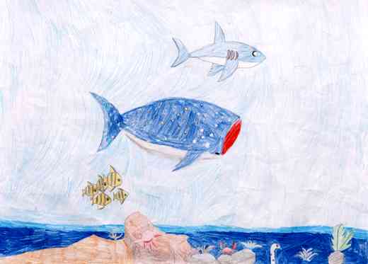 きれいであかるいうみ