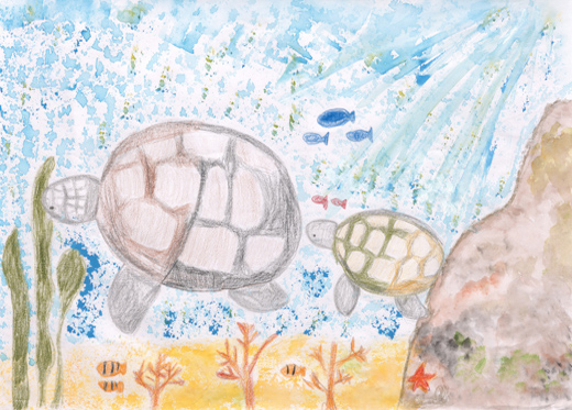 2ひきのウミガメ