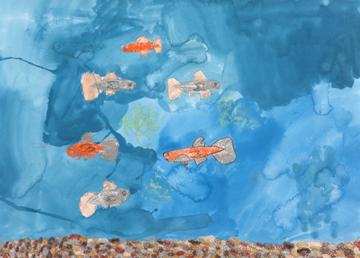 スイスイ泳ぐメダカ