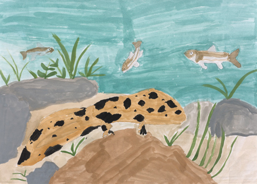 オオサンショウウオ