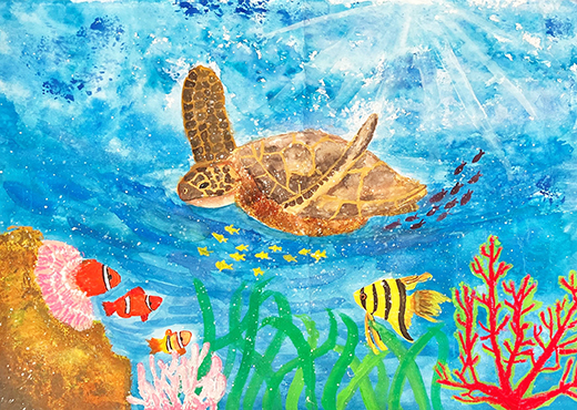 大好きな海の生き物達