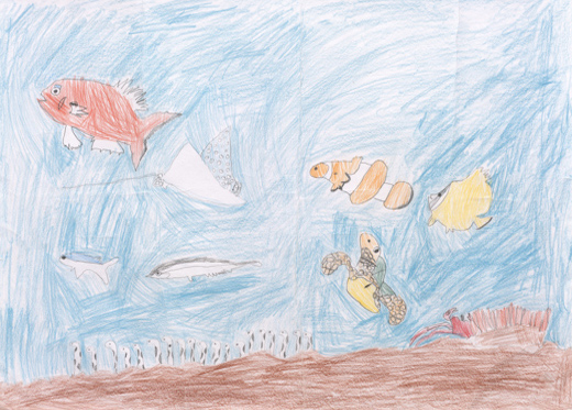 いろんな海の生きもの