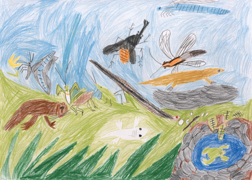 やさしいかんきょう