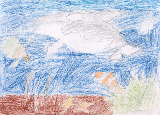 げん気にあそぶ魚たち