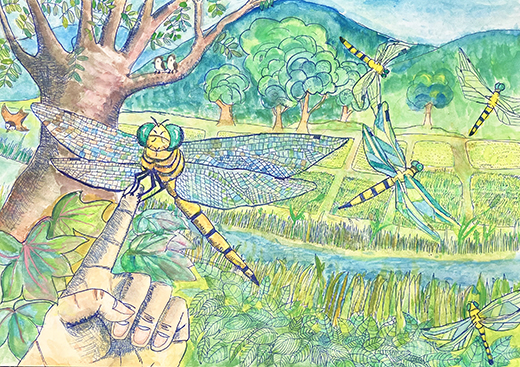 里山の自然を守りたい