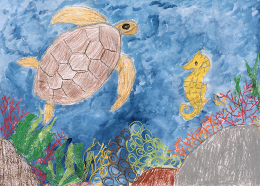 だいすきなうみがめ