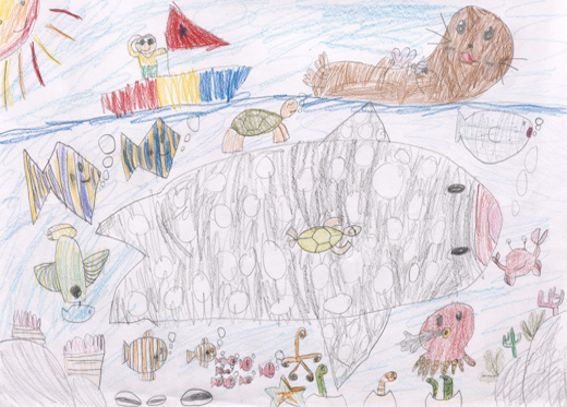 水がきれいでみんなが元気