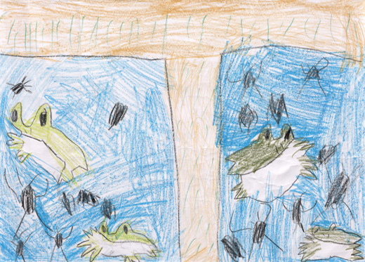 ともだちとみたたんぼ