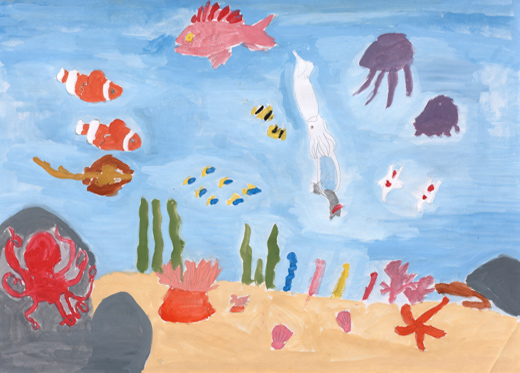 きれいな海でくらす生きものたち