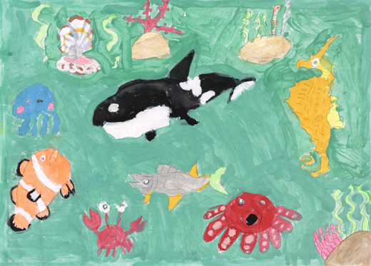 きれいな海のせかい