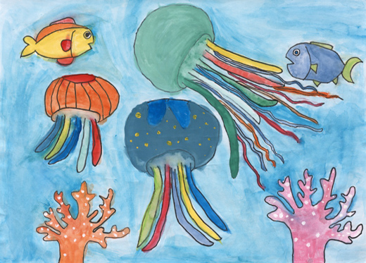 きれいなクラゲ