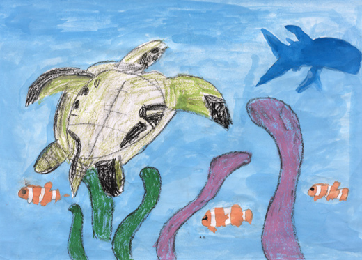 ウミガメのいる海