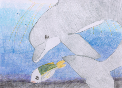 イルカと魚たち