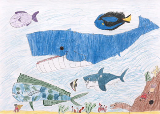 きもちいうみの中