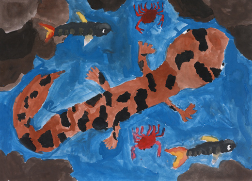 オオサンショウウオが生きる場所