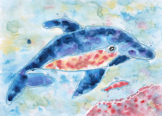 きれいな海のイルカ