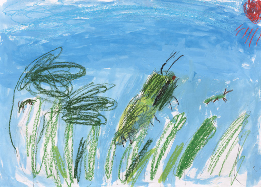 空を飛ぶイナゴ