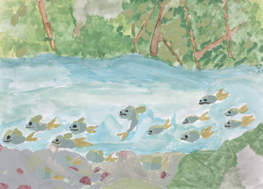 きれいな川と元気にくらす魚