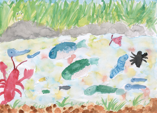 水を大切にする魚たち