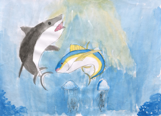 汚れのない海中