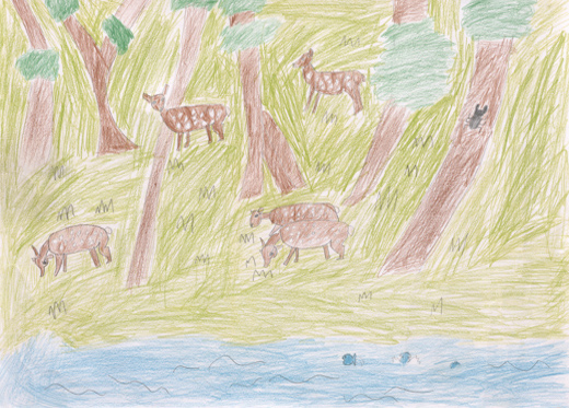 たてしなの山に生きる鹿