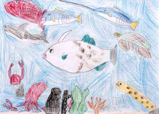 海の中にいるウマヅラハギ