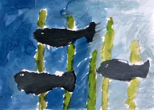 水の中の生き物