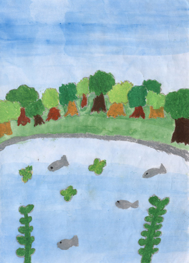 森の中の池で泳ぐ魚