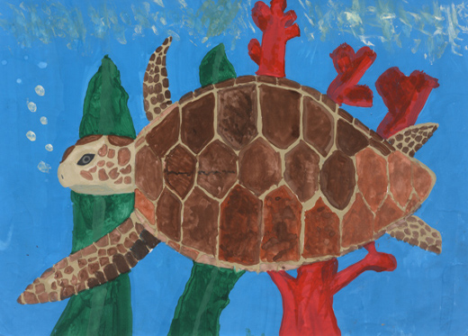 きれいな海を泳ぐアオウミガメ