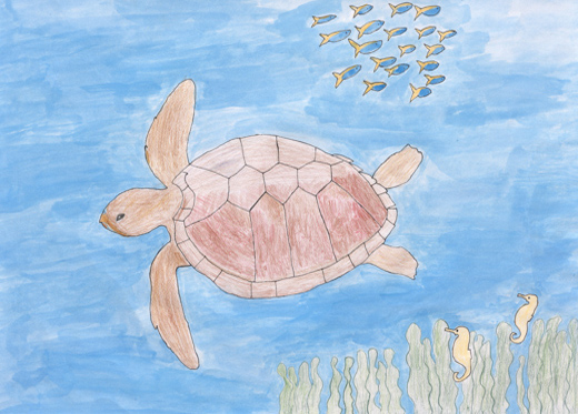 きれいな海でおよぐウミガメ