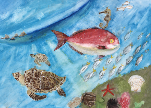 水晶浜の海の中