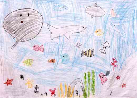 みずがキレイでよろこんでいる魚たち