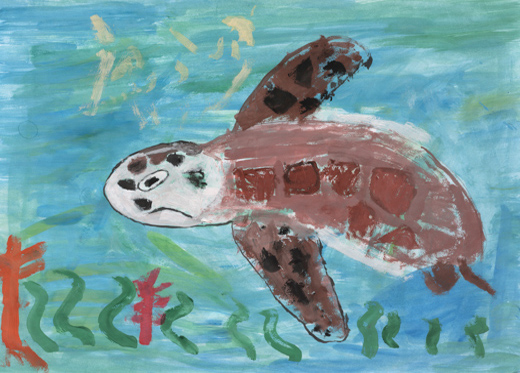 かめさんげんきにおよぐよ