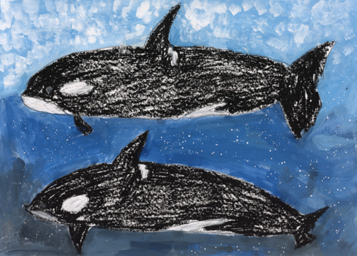 しゃちをまもろう