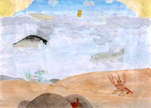 生き物も自然の一部