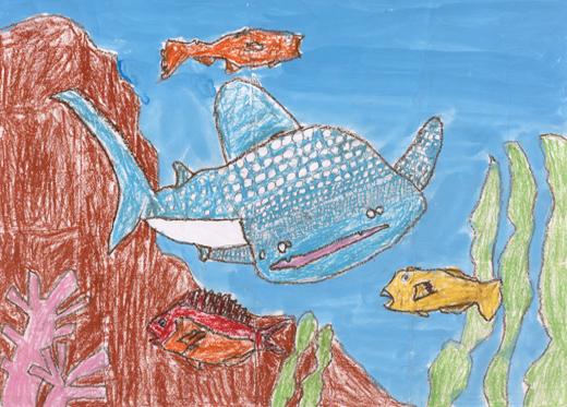 きれいな海と魚たち