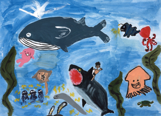 海の生きものとぼく