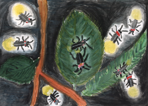 夜をてらすホタル