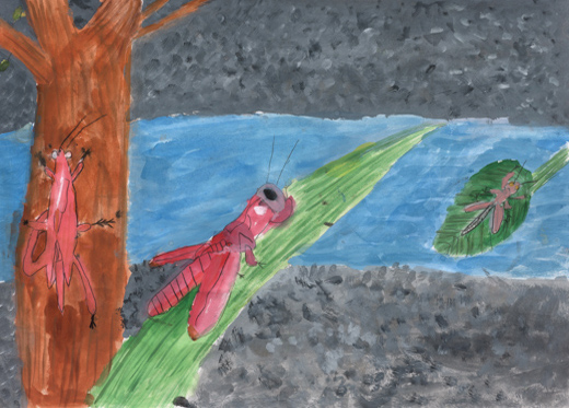 川ぞいで見つかったピンクのバッタ